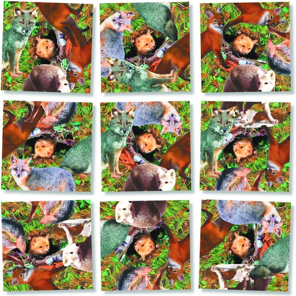 B. Dazzle - Foxes 9 Piece Scramble Square Puzzle - Challenging Brain Teaser for Children & Adults-Boosts Cognitive Function & Problem Solving