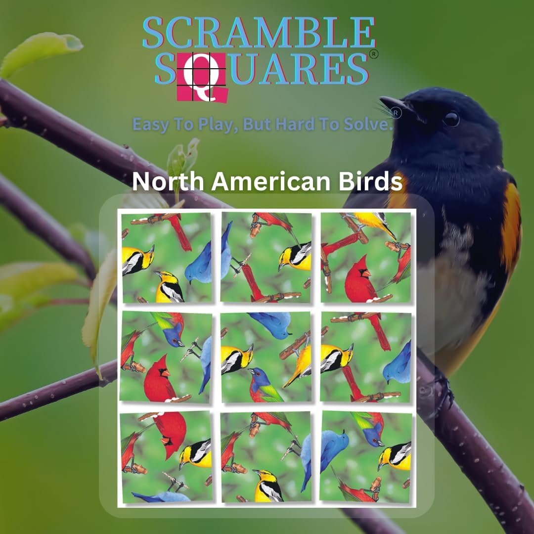 Scramble Squares North American Birds 9 Piece Challenging Puzzle - Ultimate Brain Teaser and Mind Game for Young and Senior Alike - Engaging and Creative with Beautiful Artwork - by B.Dazzle