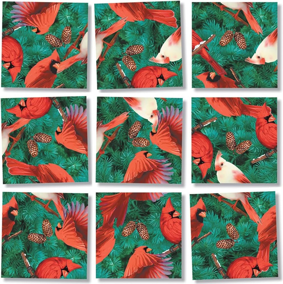 Bundle of Scramble Squares B Dazzle Birds Puzzles for Adults/Teens/Kids - 3 Puzzles Included - North American Birds, Hummingbirds and Cardinals with Exclusive Digital Timer