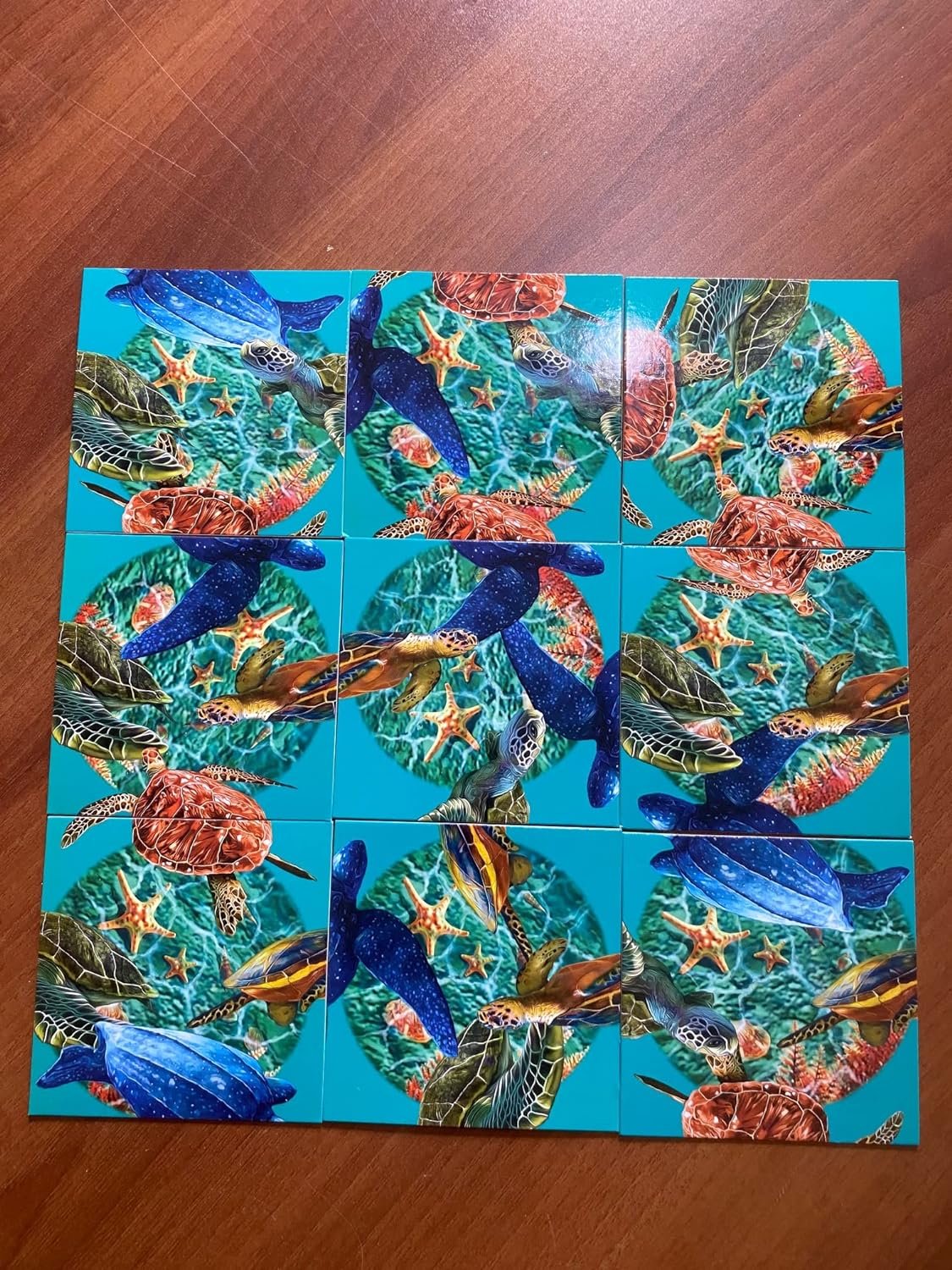 Scramble Squares -Sea Turtles -9 Piece Challenging Puzzle - Ultimate Brain Teaser and Mind Game for Children & Adults-Boosts Cognition and Problem Solving Skills