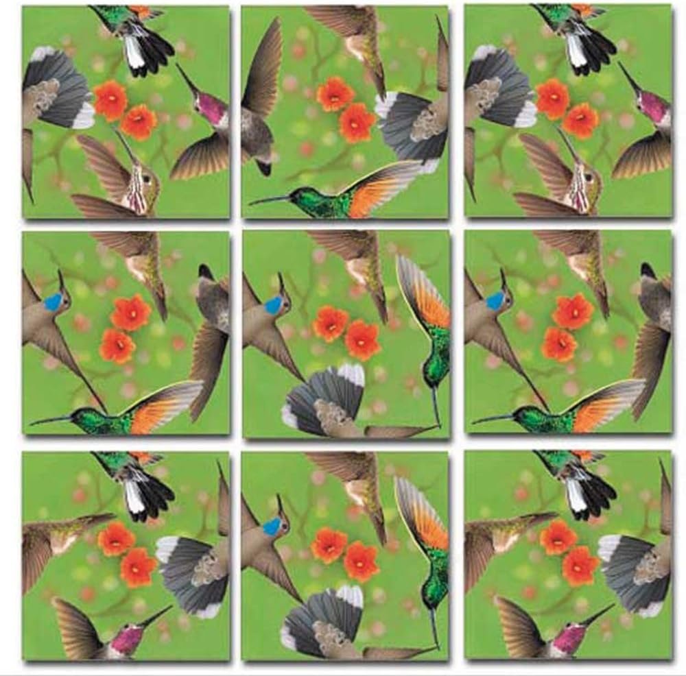 Bundle of Scramble Squares B Dazzle Birds Puzzles for Adults/Teens/Kids - 3 Puzzles Included - North American Birds, Hummingbirds and Cardinals with Exclusive Digital Timer
