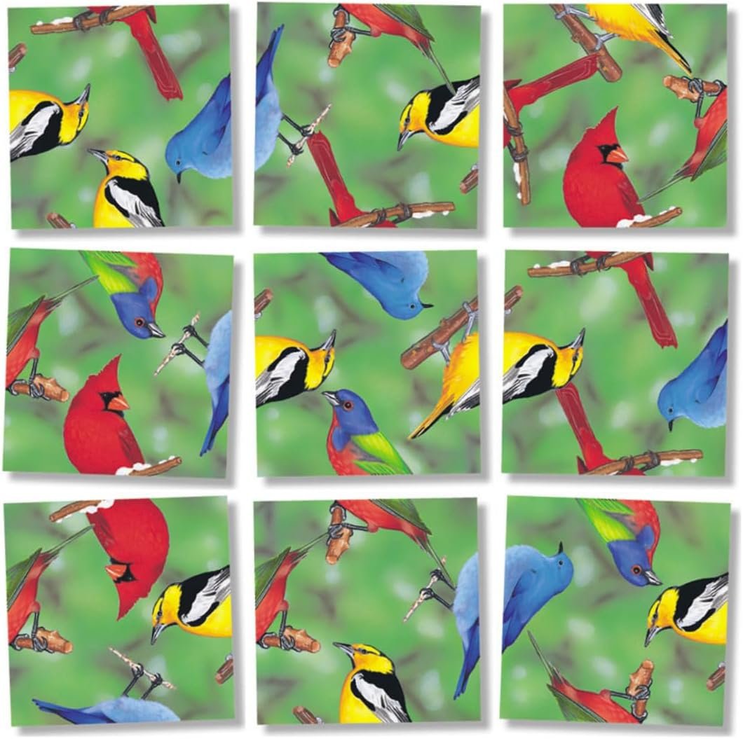 Scramble Squares North American Birds 9 Piece Challenging Puzzle - Ultimate Brain Teaser and Mind Game for Young and Senior Alike - Engaging and Creative with Beautiful Artwork - by B.Dazzle