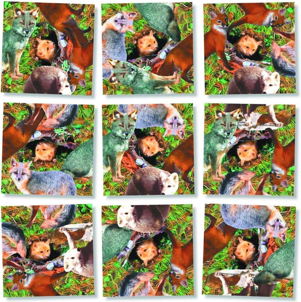 B. Dazzle - Foxes 9 Piece Scramble Square Puzzle - Challenging Brain Teaser for Children & Adults-Boosts Cognitive Function & Problem Solving