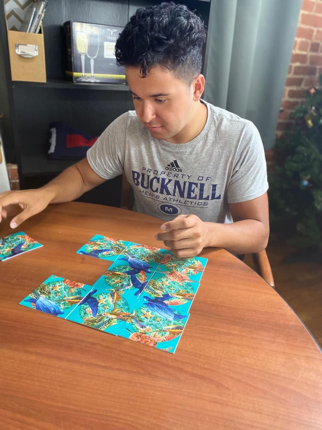 Scramble Squares -Sea Turtles -9 Piece Challenging Puzzle - Ultimate Brain Teaser and Mind Game for Children & Adults-Boosts Cognition and Problem Solving Skills