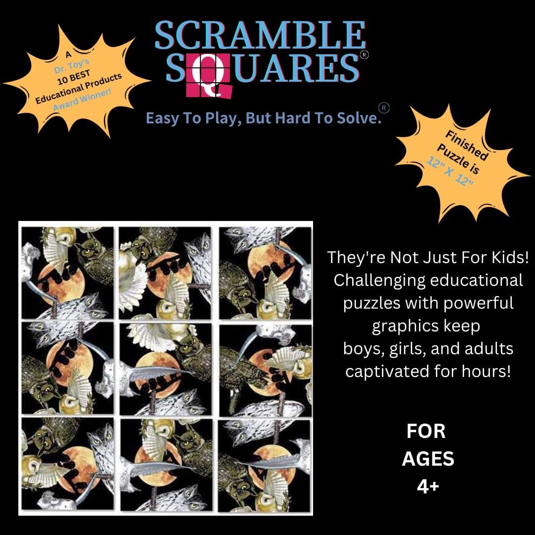 B.Dazzle Scramble Squares Owls 9 Piece Challenging Puzzle - Ultimate Brain Teaser and Mind Game for Young and Senior Alike - Engaging and Creative with Beautiful Artwork