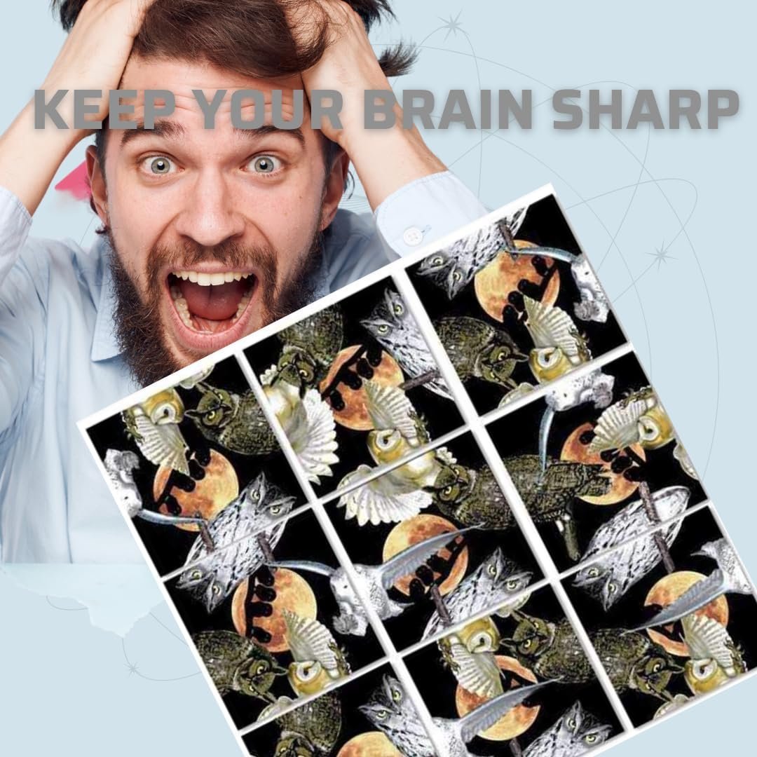 B.Dazzle Scramble Squares Owls 9 Piece Challenging Puzzle - Ultimate Brain Teaser and Mind Game for Young and Senior Alike - Engaging and Creative with Beautiful Artwork