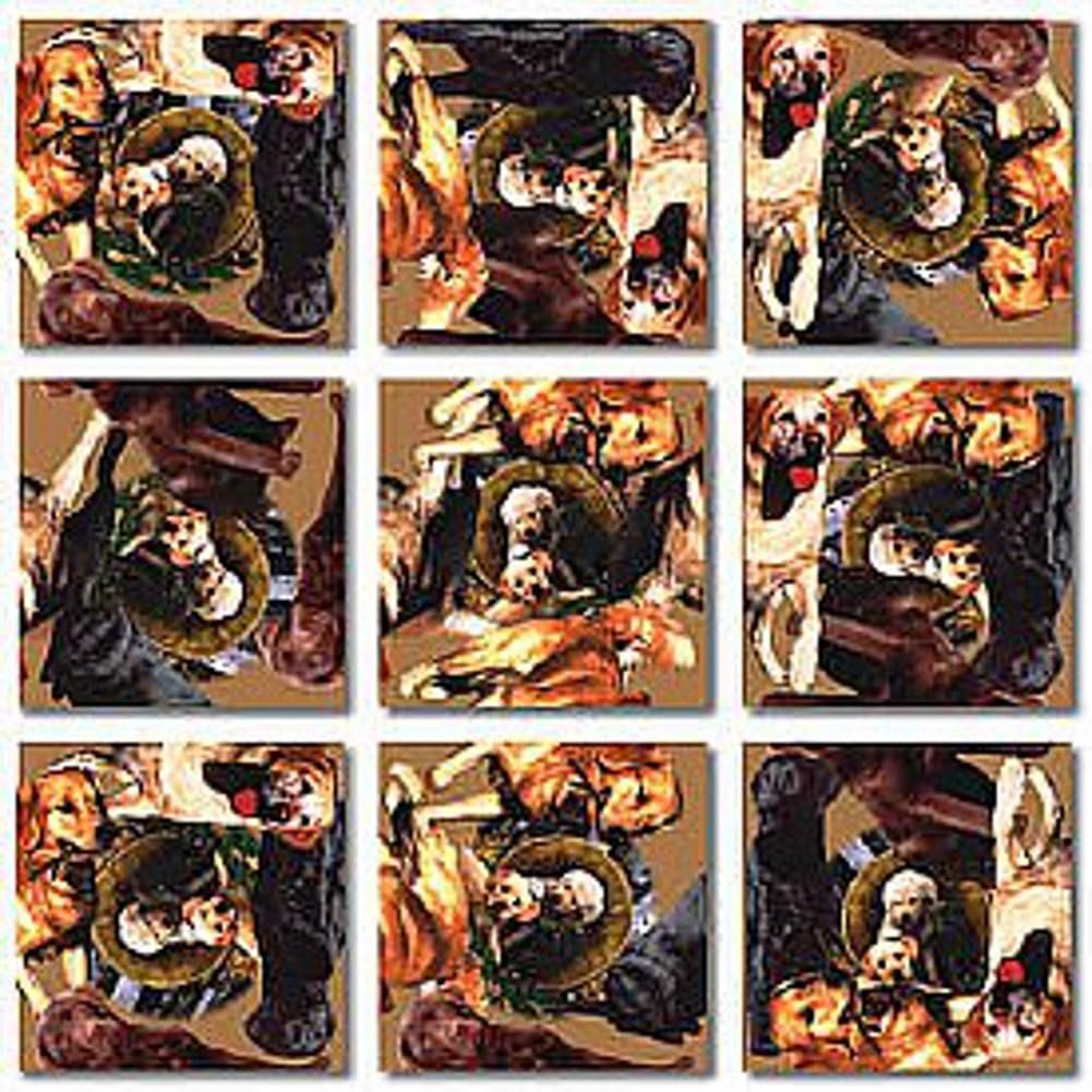 Scramble Squares Retrievers 9 Piece Challenging Puzzle - Ultimate Brain Teaser and Mind Game for Young and Senior Alike - Engaging and Creative with Beautiful Artwork - by B.Dazzle