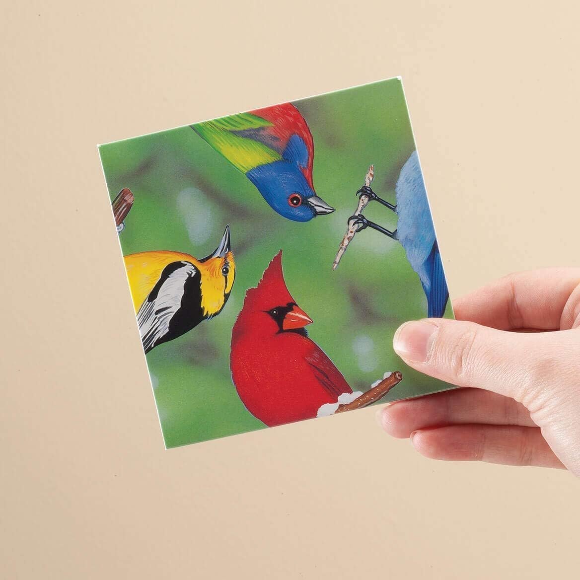 Scramble Squares North American Birds 9 Piece Challenging Puzzle - Ultimate Brain Teaser and Mind Game for Young and Senior Alike - Engaging and Creative with Beautiful Artwork - by B.Dazzle