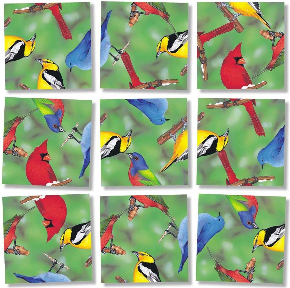 Bundle of Scramble Squares B Dazzle Birds Puzzles for Adults/Teens/Kids - 3 Puzzles Included - North American Birds, Hummingbirds and Cardinals with Exclusive Digital Timer