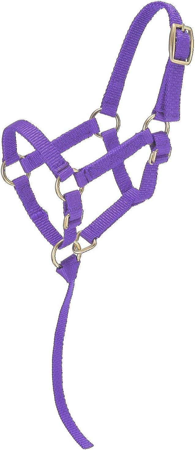 Tough 1 Miniature Nylon Halter