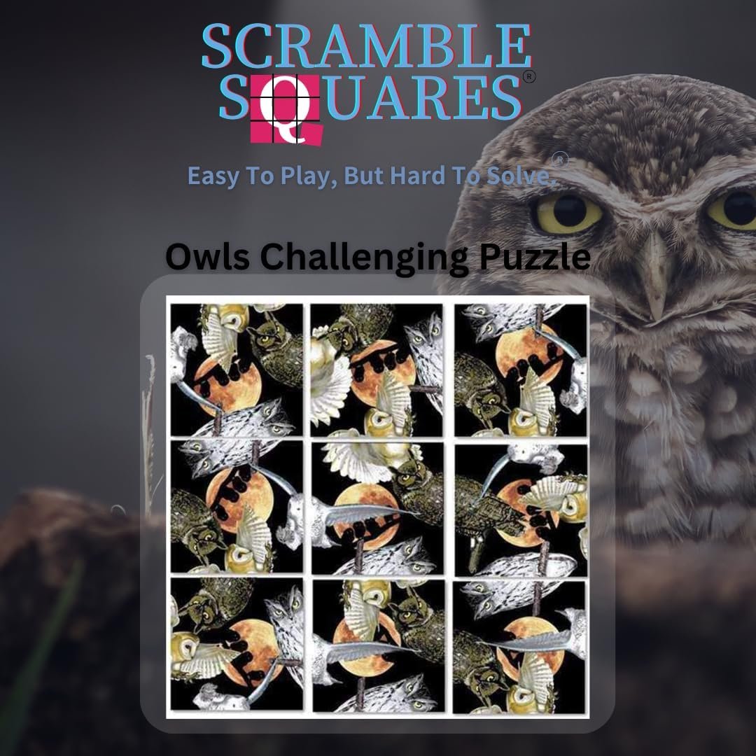 B.Dazzle Scramble Squares Owls 9 Piece Challenging Puzzle - Ultimate Brain Teaser and Mind Game for Young and Senior Alike - Engaging and Creative with Beautiful Artwork