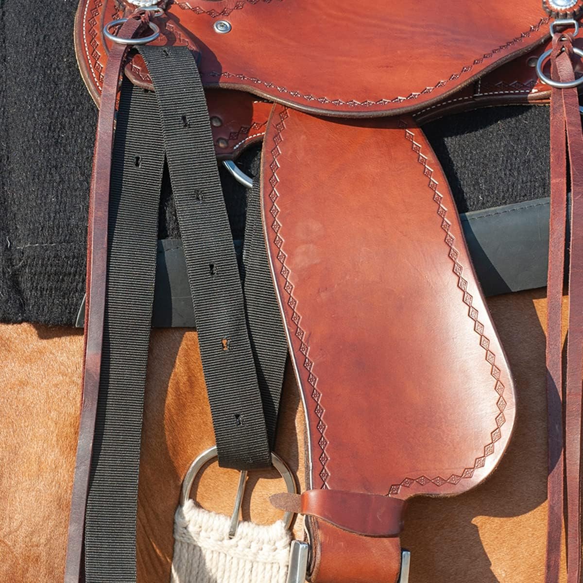 Cashel Nylon Latigo Tie Strap