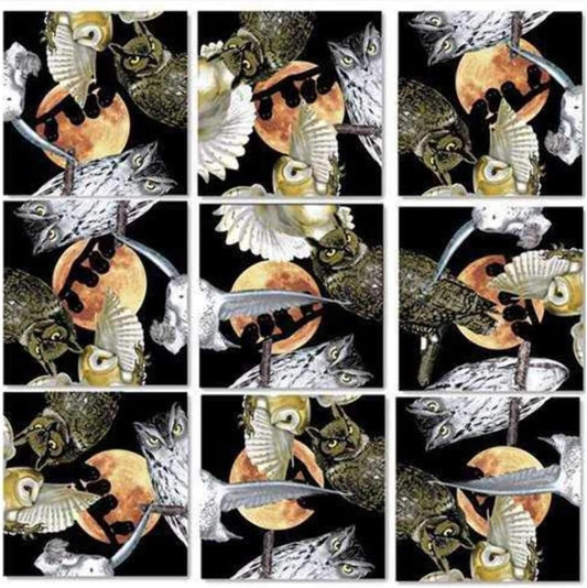 B.Dazzle Scramble Squares Owls 9 Piece Challenging Puzzle - Ultimate Brain Teaser and Mind Game for Young and Senior Alike - Engaging and Creative with Beautiful Artwork