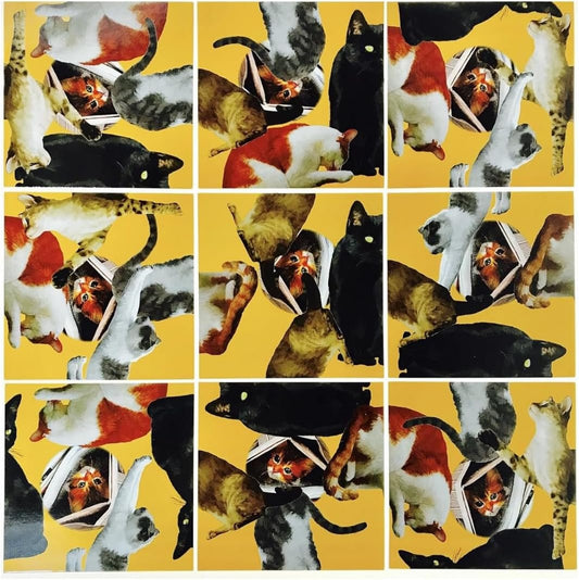 Scramble Squares Cat 9 Piece Challenging Puzzle - Ultimate Brain Teaser and Mind Game for Young and Senior Alike - Engaging and Creative With Beautiful Artwork - By B.Dazzle