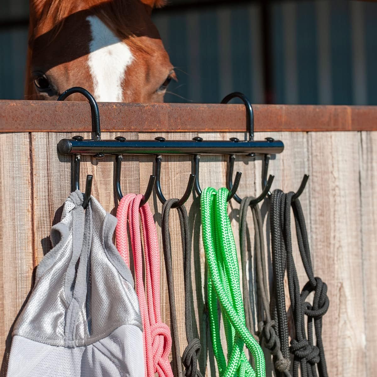 Cashel 6-Hook Bridle Hanger, Black