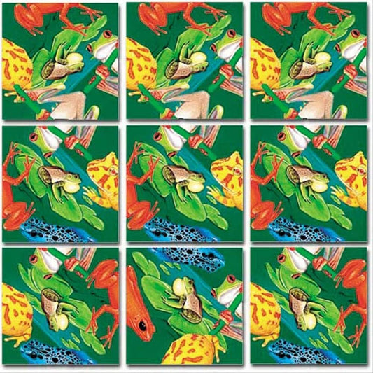 Scramble Squares Frogs 9 Piece Challenging Puzzle - Ultimate Brain Teaser and Mind Game for Young and Senior Alike - Engaging and Creative with Beautiful Artwork - by B.Dazzle